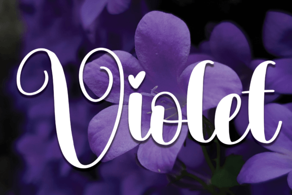 Discover the Charm of Violet: A Script Font for Elegant Projects